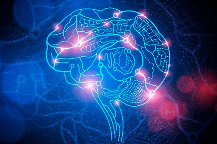 umabrains neurociencia moderna